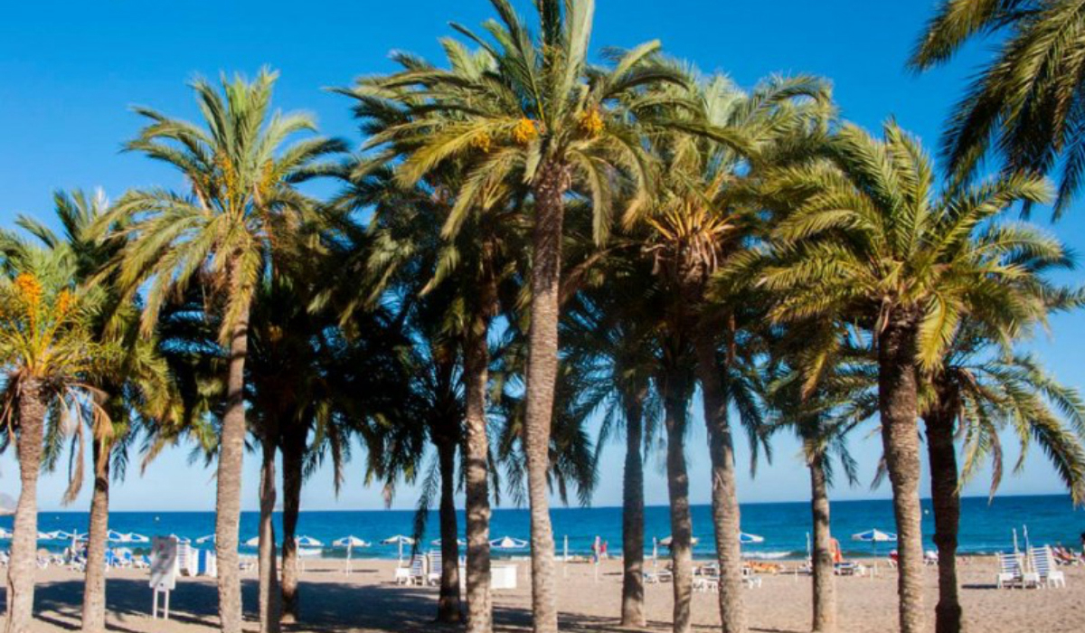 Camping Playa Paraíso Costa de Valencia - La Vila Joiosa visuel 1/1