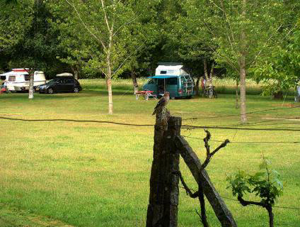 Camping Quinta Chave Grande Centro - Sátão visuel 3/4