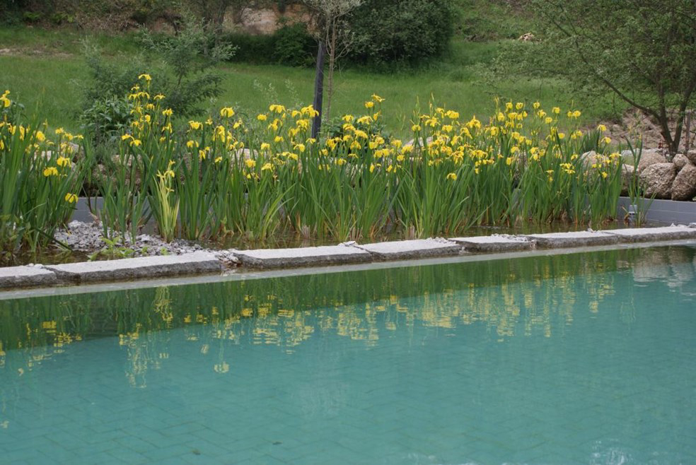 Camping Quinta do Retiro Norte - covas visuel 2/4