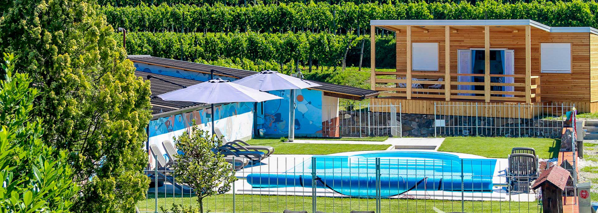 Camping Saksida Wine and Camping Resort Slowenisch Istrien - Dornberk visuel 2/3