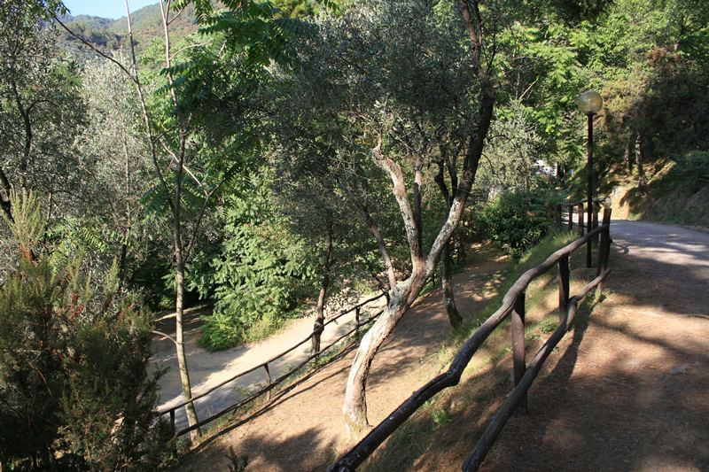 San Michele Ligurien - levanto visuel 3/3 San Michele Ligurien - levanto visuel 3/3