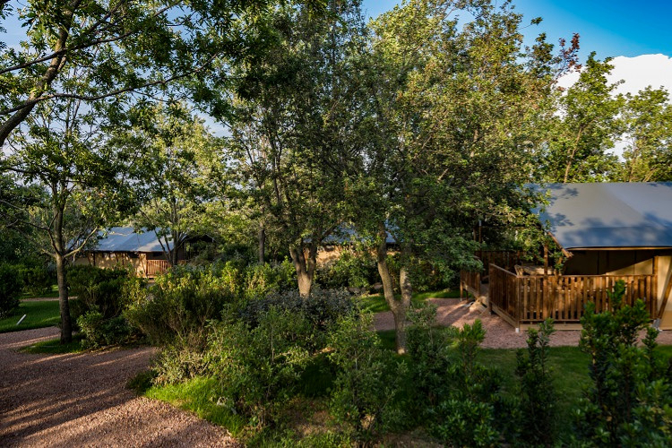 Tenuta Poggio Rosso Toskana - Piombino visuel 3/5