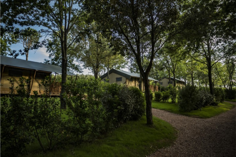 Tenuta Poggio Rosso Toskana - Piombino visuel 2/5