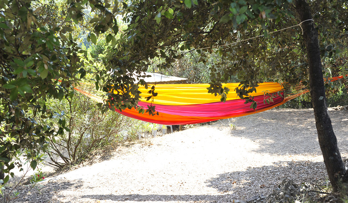 Torraccia Korsika - Cargèse visuel 5/12 Torraccia Korsika - Cargèse visuel 5/12