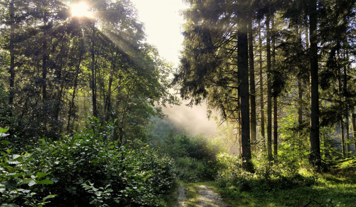 Camping Tro Do Way Luxemburg - Bertogne visuel 1/4