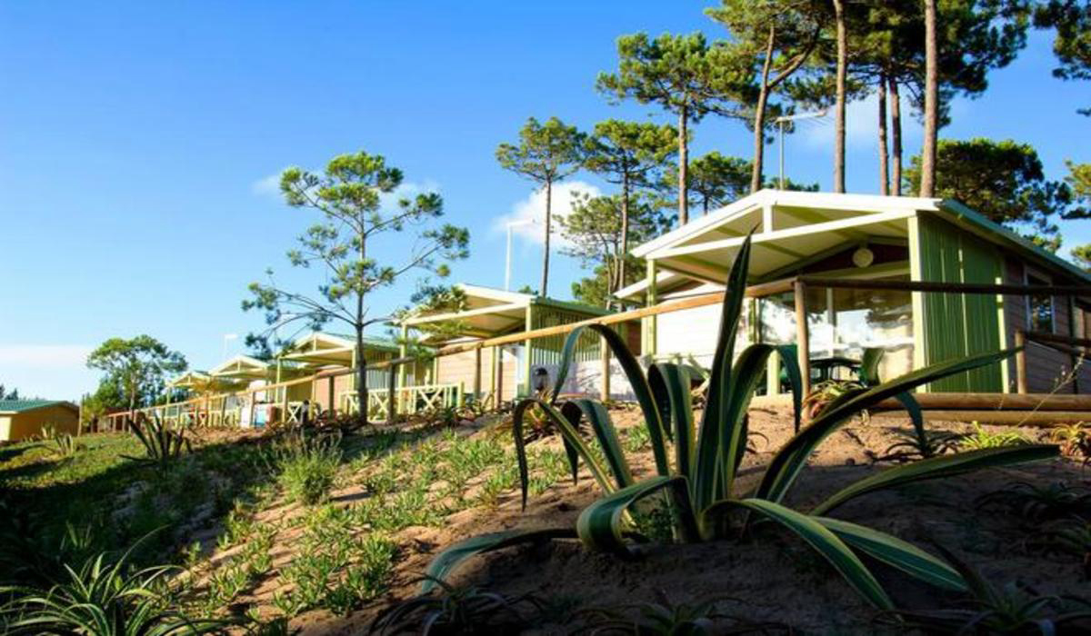 Camping Vale Paraíso Natur Park Centro - Nazaré visuel 5/5