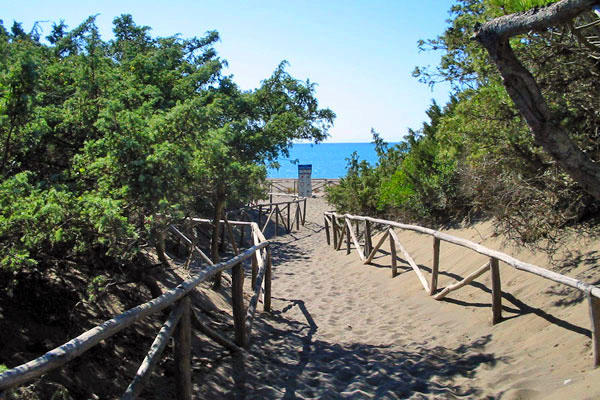 Villaggio Il Gineprino Toskana - Marina di Bibbona visuel 2/4