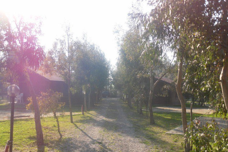 Villaggio Le Casette Kalabrien - Cirò Marina visuel 2/4