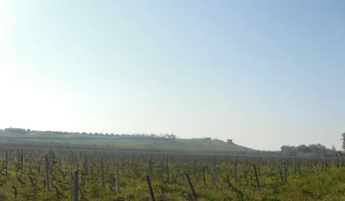 Villaggio Le Casette Kalabrien - Cirò Marina visuel 1/4