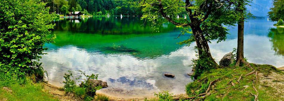 Camping Zlatorog Oberkrain - Bohinjska Bistrica visuel 3/4