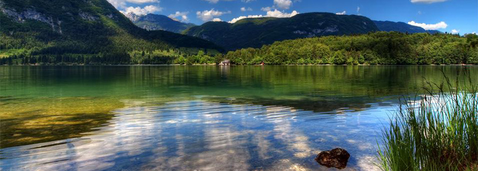 Camping Zlatorog Oberkrain - Bohinjska Bistrica visuel 4/4