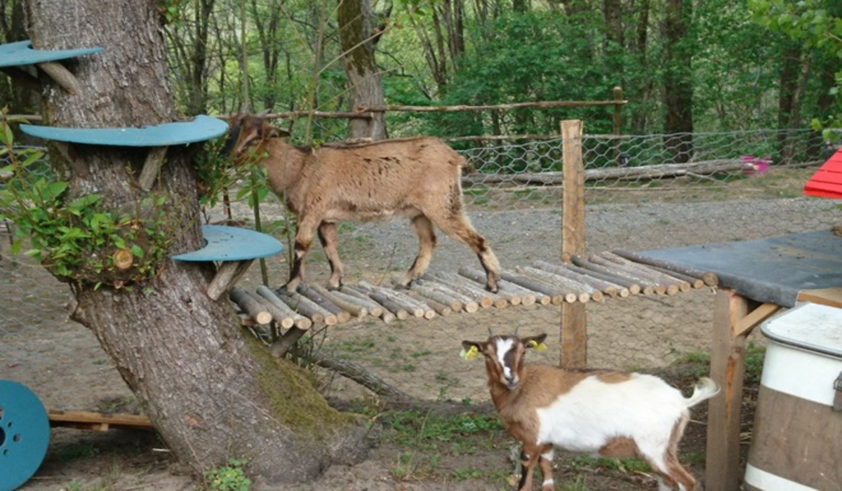 Camping de Montmaurin Midi-Pyrénées - Montmaurin visuel 5/8