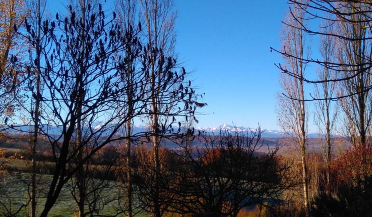 Camping de Montmaurin Midi-Pyrénées - Montmaurin visuel 4/8