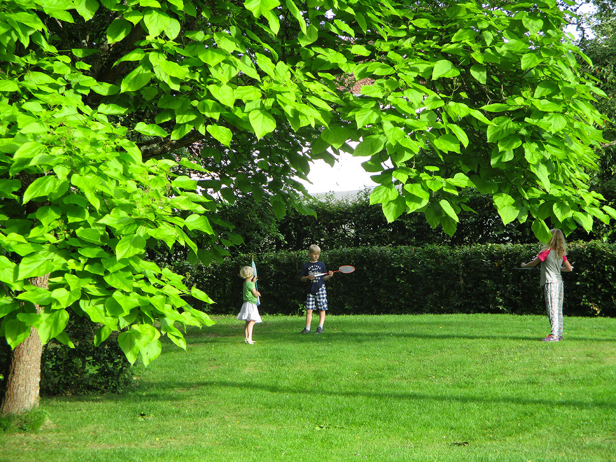 Camping de Vittel Lothringen - Vittel visuel 6/10 Camping de Vittel Lothringen - Vittel visuel 6/10