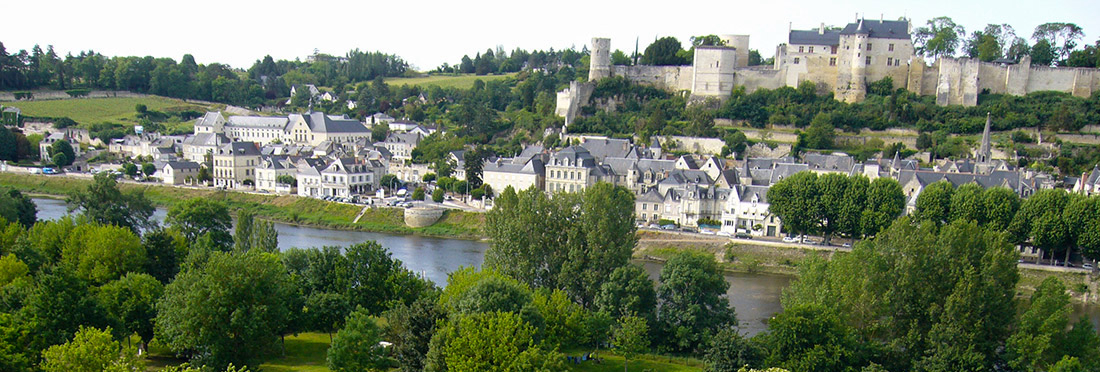 Camping de l'Ile Auger Großes Zentrum - Chinon visuel 2/4 Camping de l'Ile Auger Großes Zentrum - Chinon visuel 2/4