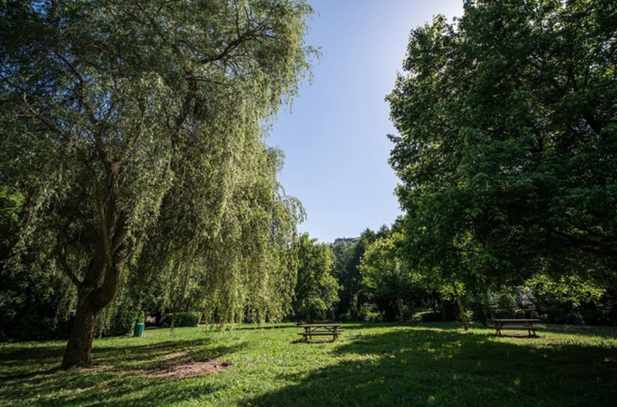 Camping de la Muse Midi-Pyrénées - Saint-Beauzély visuel 4/7