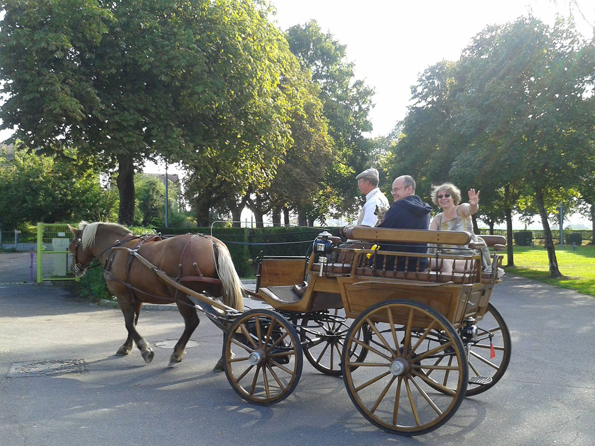 Camping de la Porte d'Arroux Burgunder - Autun visuel 10/15 Camping de la Porte d'Arroux Burgunder - Autun visuel 10/15