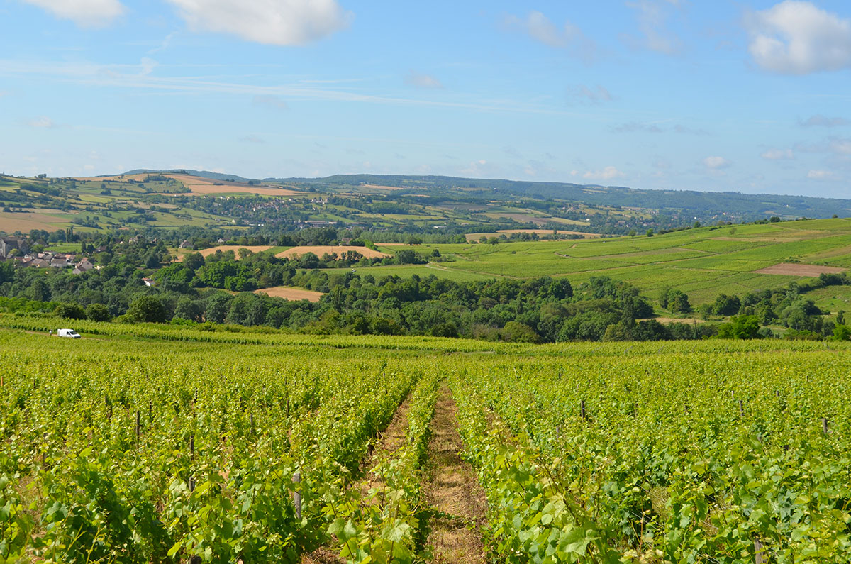 Camping des Sources Burgunder - Santenay visuel 9/16 Camping des Sources Burgunder - Santenay visuel 9/16