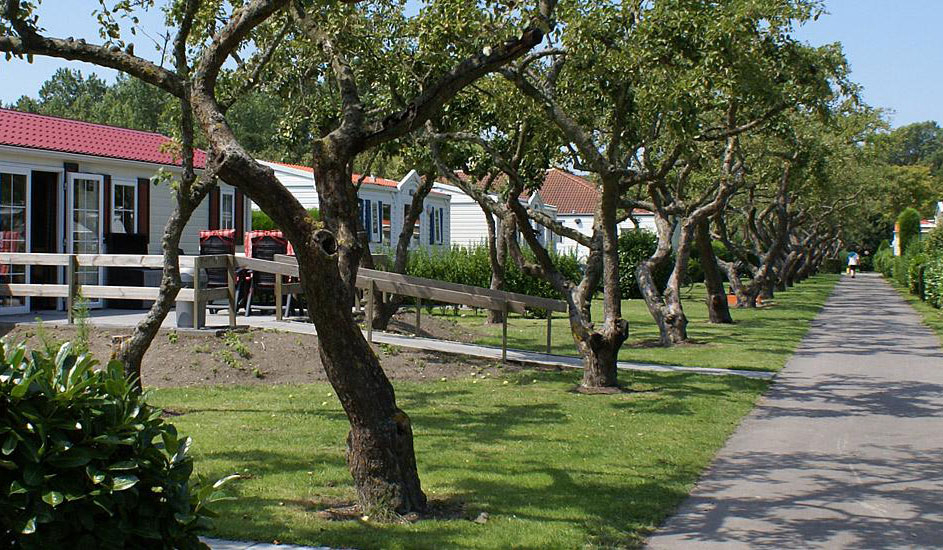 Camping in de Bongerd Zeeland - Oostkapelle visuel 1/1 Camping in de Bongerd Zeeland - Oostkapelle visuel 1/1