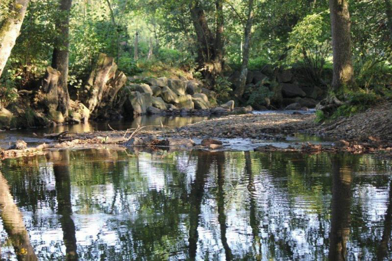 Camping l'Eau Rouge Kork - Stavelot visuel 2/3 Camping l'Eau Rouge Kork - Stavelot visuel 2/3