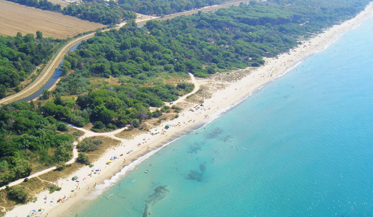 Campo Al Fico Toskana - Piombino visuel 2/5