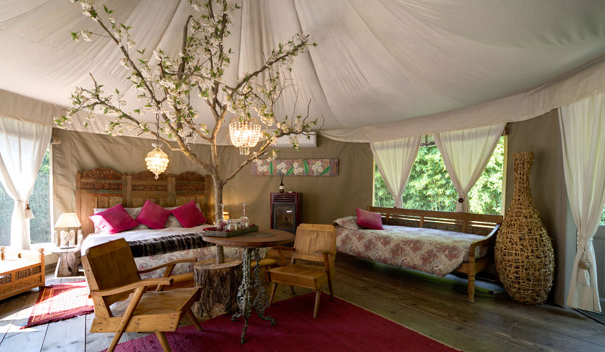 Canonici di San Marco Venetien - mirano visuel 3/5