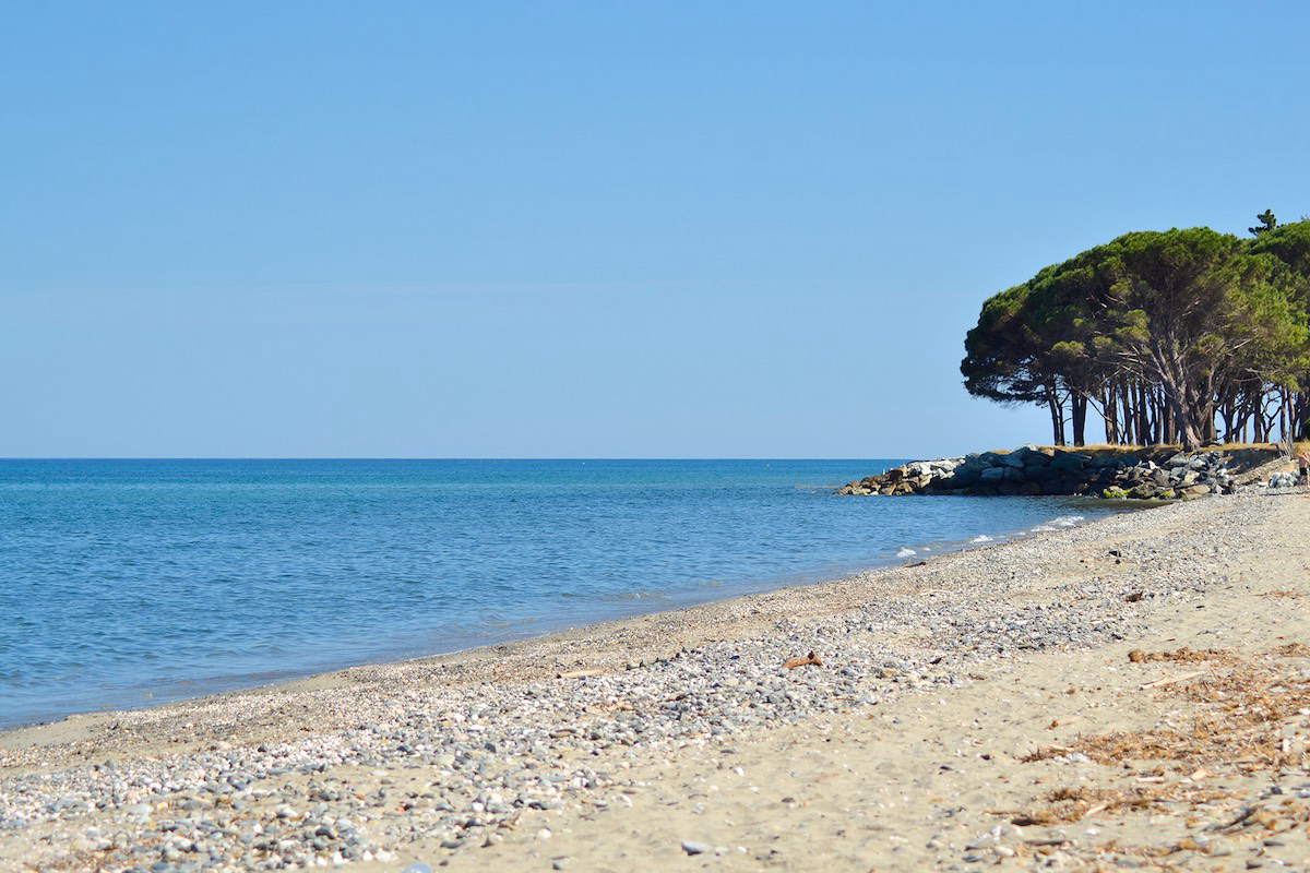 Casa e Natura Korsika - Santa-Maria-Poggio visuel 6/8