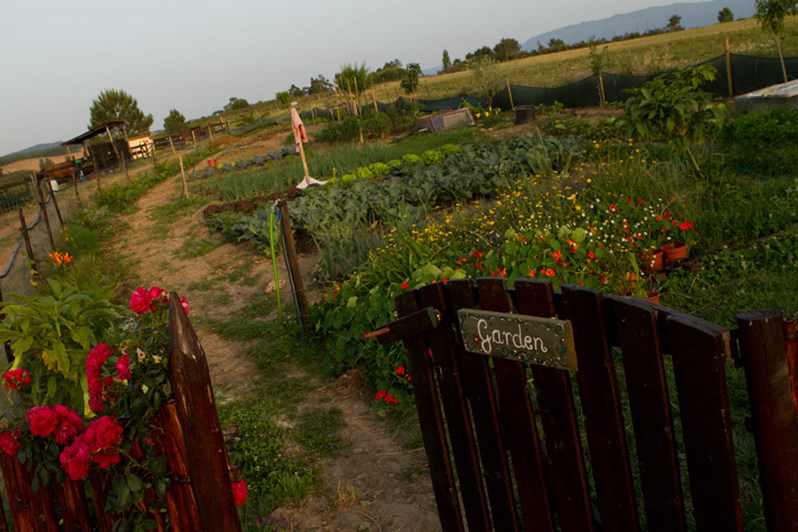 Casas Novas da Palmeira Alentejo - São Teotónio visuel 3/3