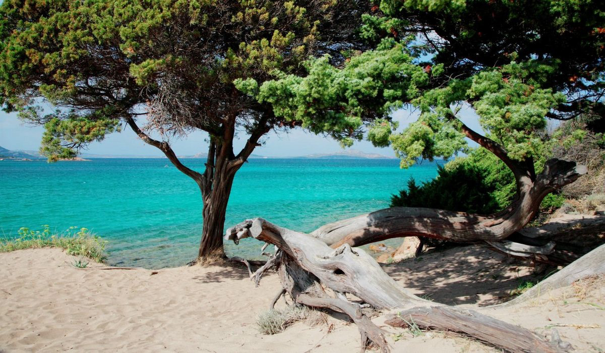 Centro Vacanze Isuledda Sardinien - Cannigione visuel 2/14