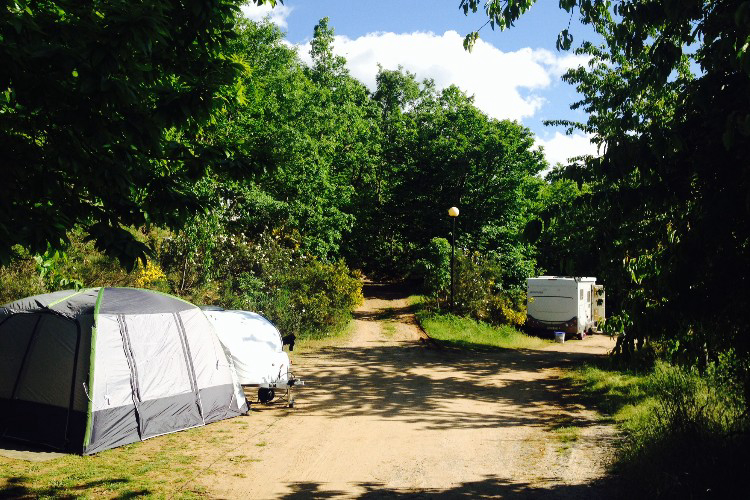 Cepo Verde Norte - Gondesende visuel 7/10