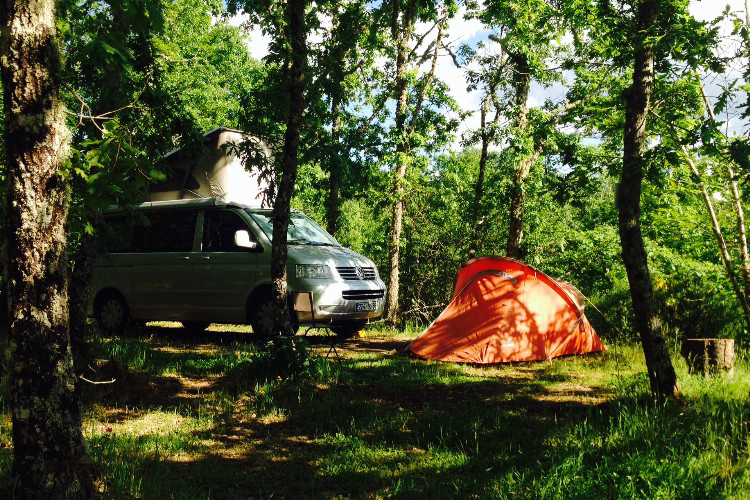 Cepo Verde Norte - Gondesende visuel 10/10