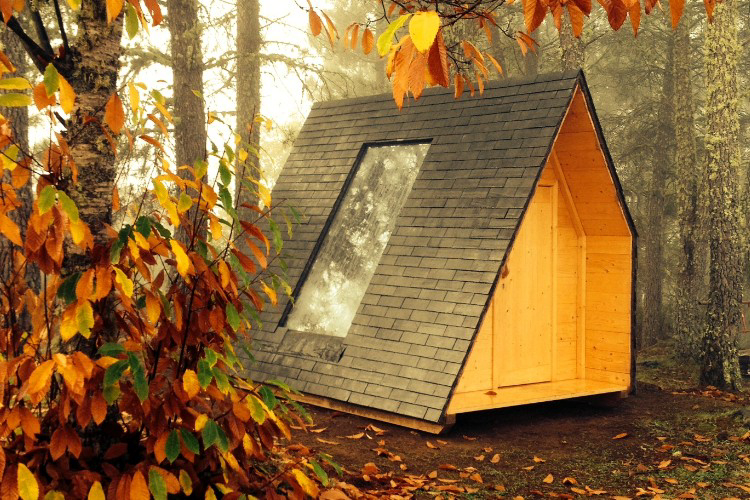 Cepo Verde Norte - Gondesende visuel 5/10