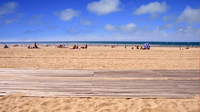 Chant des Oiseaux Basse-Normandie - Trouville-sur-Mer visuel 1/1 Chant des Oiseaux Basse-Normandie - Trouville-sur-Mer visuel 1/1