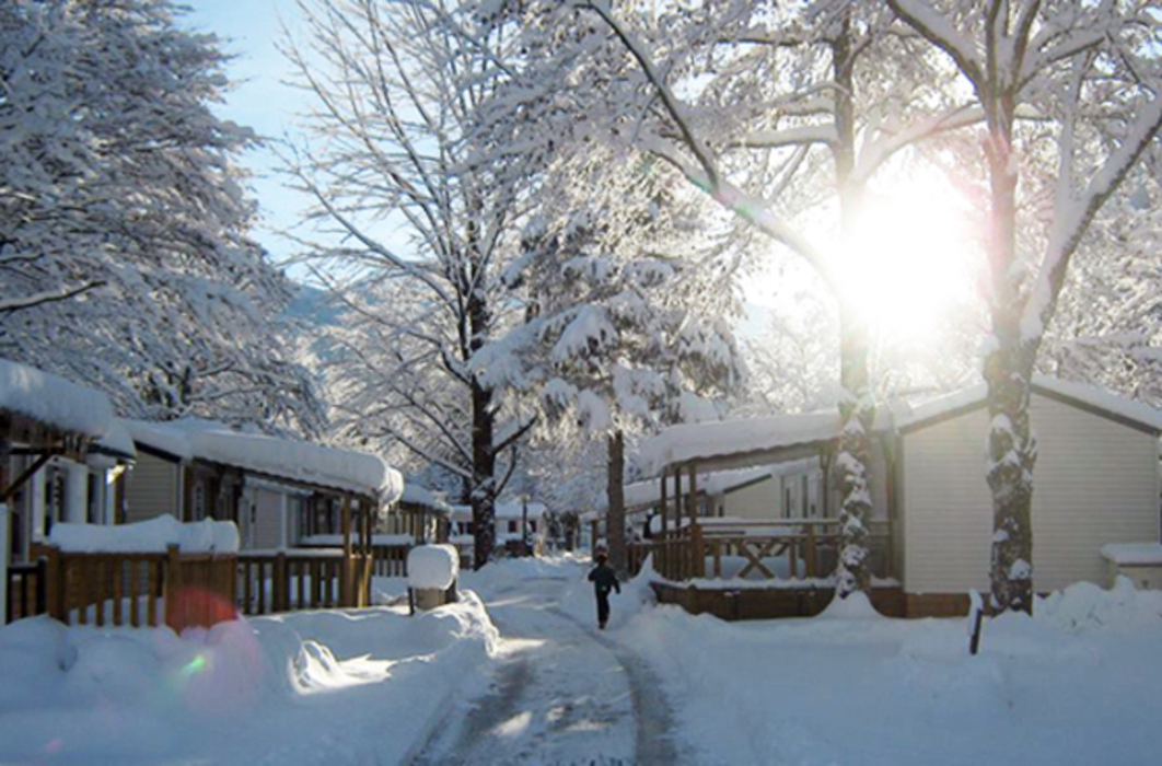 Chevrot Rhône-Alpen - Samoëns visuel 1/2 Chevrot Rhône-Alpen - Samoëns visuel 1/2