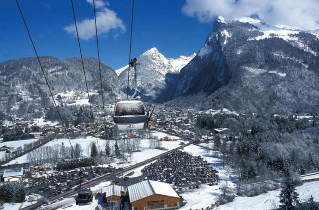 Chevrot Rhône-Alpen - Samoëns visuel 2/2 Chevrot Rhône-Alpen - Samoëns visuel 2/2