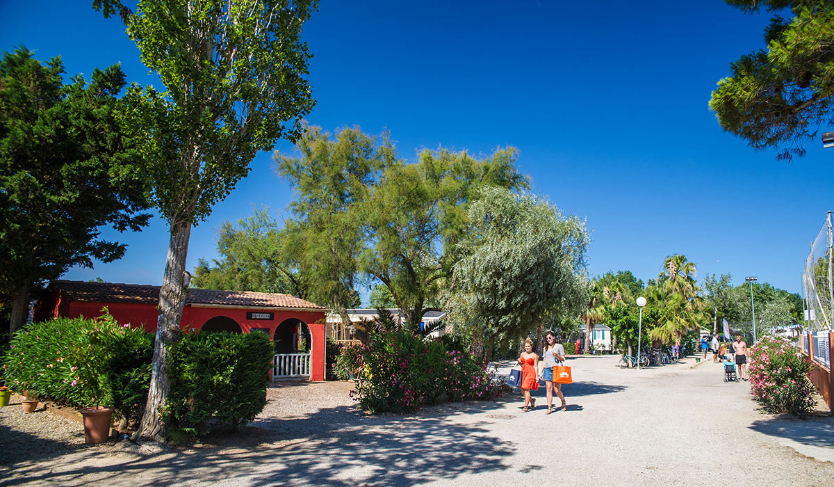 Camping Club MS Les Tamaris Languedoc-Roussillon - Le Barcarès visuel 19/46