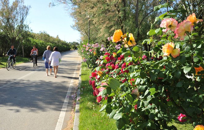 Club del Sole Spina Emilia Romagna - Lido Di Spina visuel 4/5 Club del Sole Spina Emilia Romagna - Lido Di Spina visuel 4/5