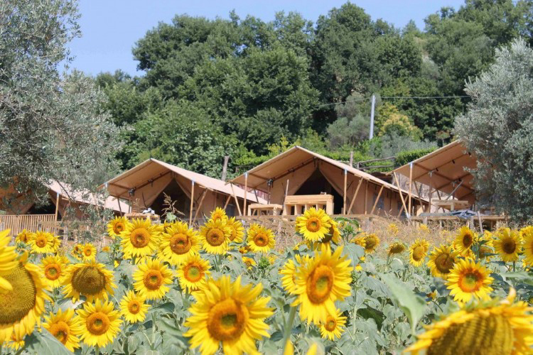 Countryhouse Il Girasole Schritte - Massignano visuel 6/7