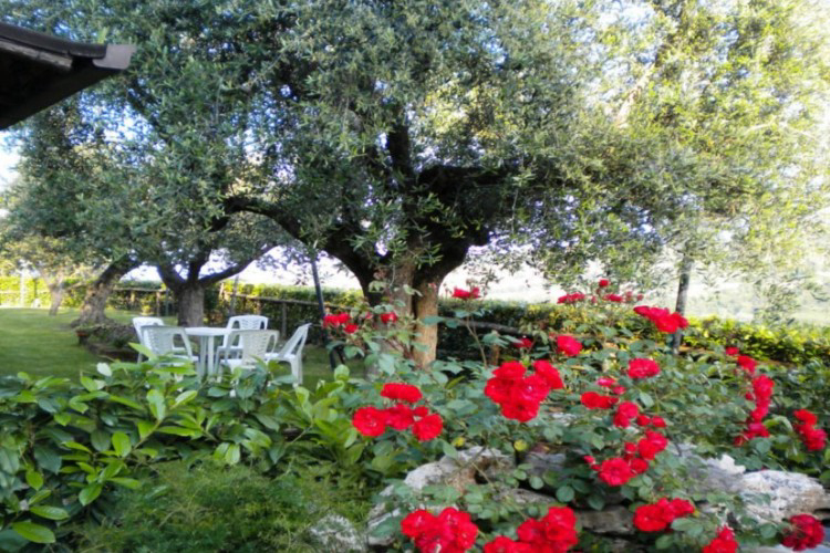 Countryhouse Il Girasole Schritte - Massignano visuel 7/7