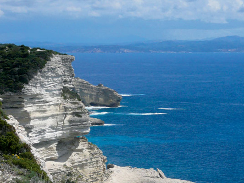 Cupulatta Korsika - Porto-Vecchio visuel 6/12 Cupulatta Korsika - Porto-Vecchio visuel 6/12