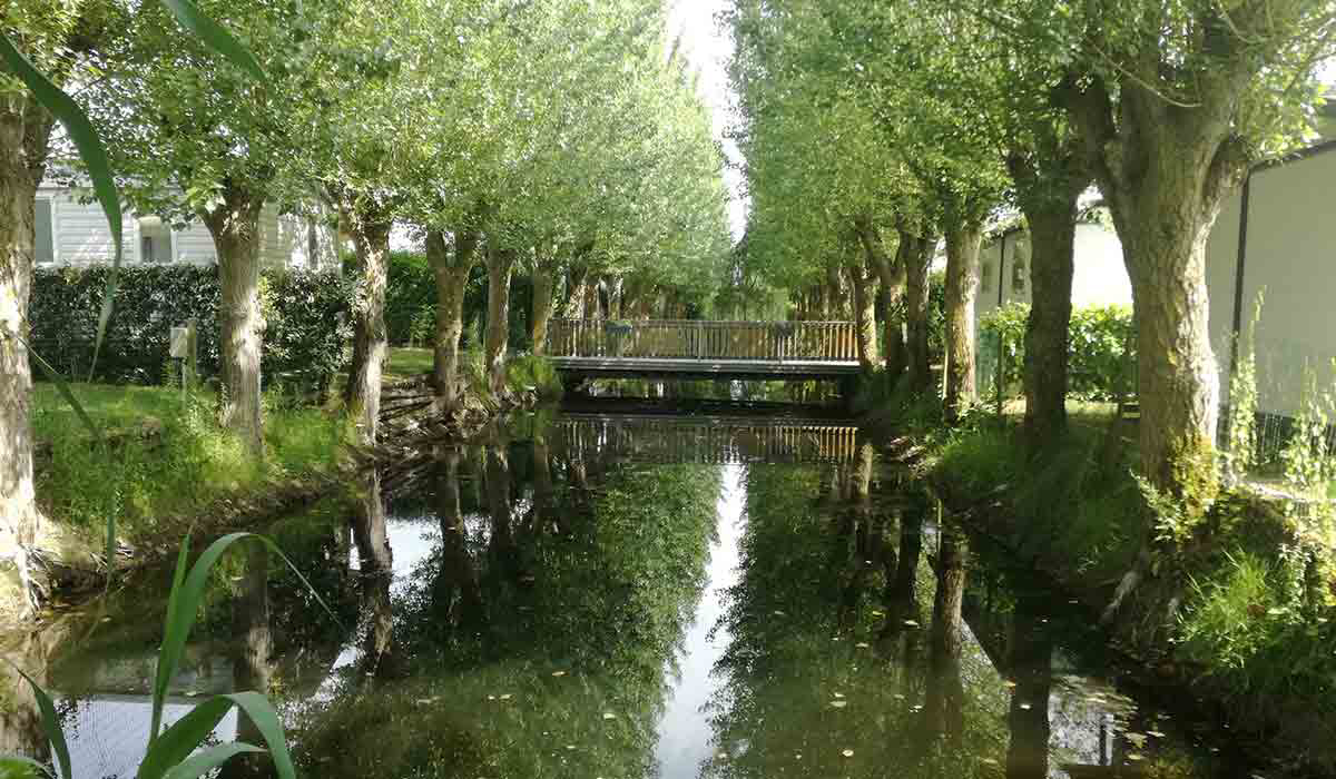 Domaine Le Jardin du Marais Das Loire-Gebiet - Le Perrier visuel 10/20 Domaine Le Jardin du Marais Das Loire-Gebiet - Le Perrier visuel 10/20