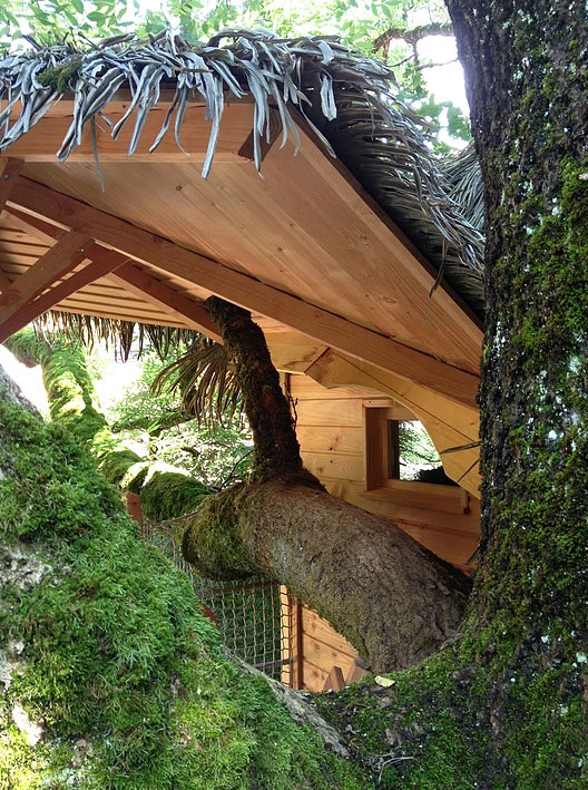 Domaine Les Cabanes de Marie Lemanisch - Ogens visuel 4/12 Domaine Les Cabanes de Marie Lemanisch - Ogens visuel 4/12