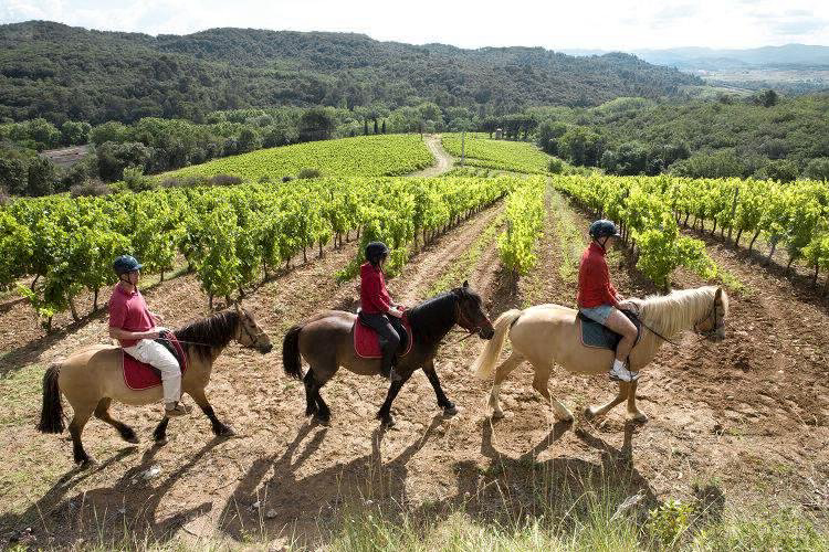 Domaine d'Arnauteille Languedoc-Roussillon - Montclar visuel 14/15 Domaine d'Arnauteille Languedoc-Roussillon - Montclar visuel 14/15