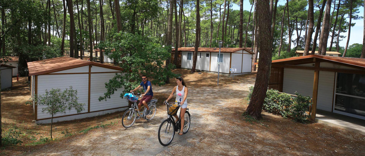 Domaine de Montcalm Poitou-Charentes - Les Mathes-La Palmyre visuel 3/5 Domaine de Montcalm Poitou-Charentes - Les Mathes-La Palmyre visuel 3/5