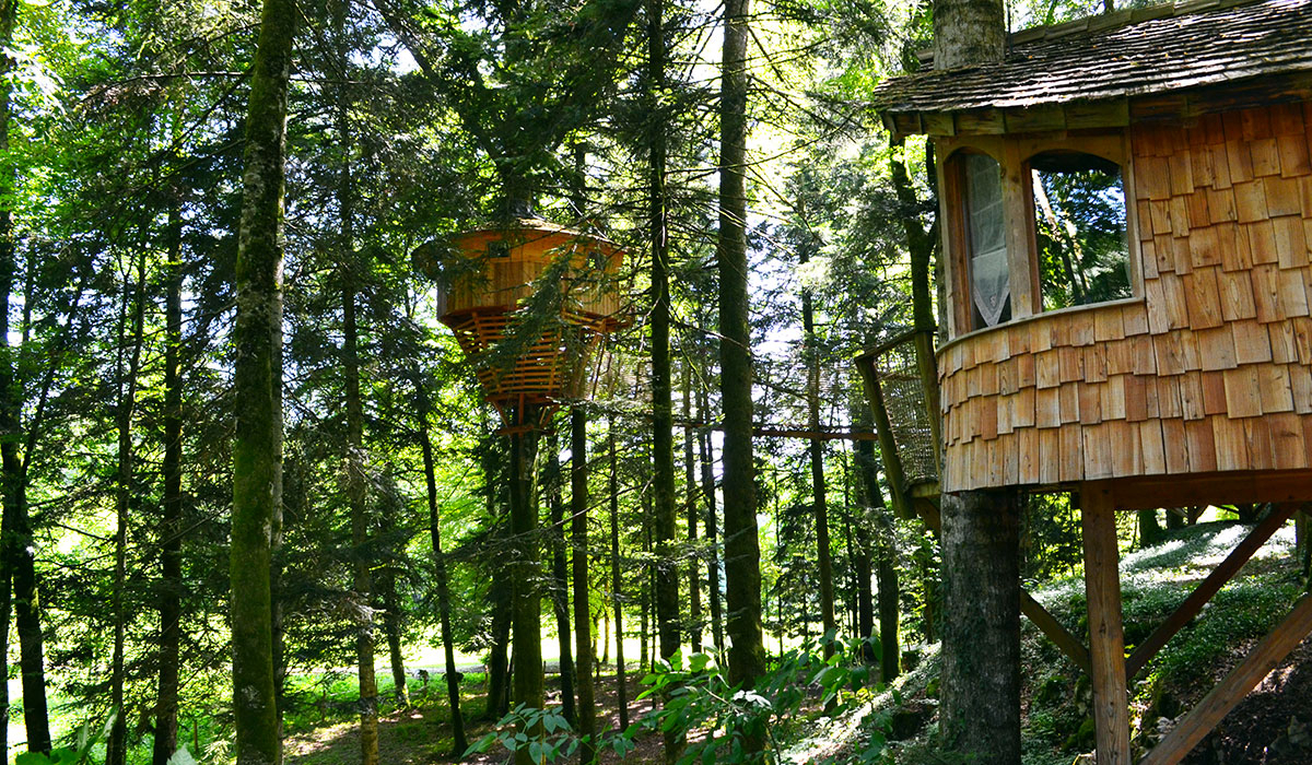 Domaine de Syam Franche-Comté - Syam visuel 5/19 Domaine de Syam Franche-Comté - Syam visuel 5/19