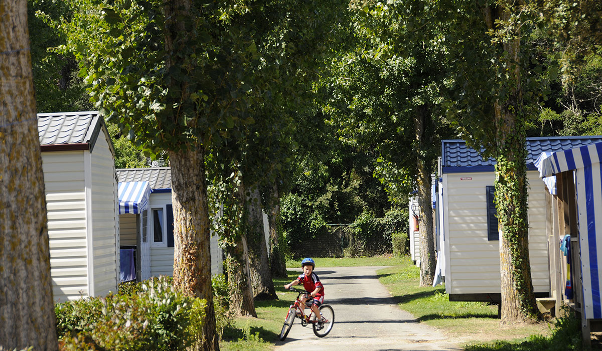Domaine de l'Orée Das Loire-Gebiet - Olonne-sur-Mer visuel 17/22 Domaine de l'Orée Das Loire-Gebiet - Olonne-sur-Mer visuel 17/22