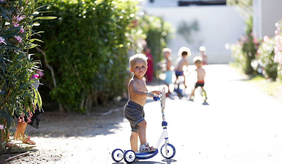 Domaine de la Dragonnière Languedoc-Roussillon - Vias visuel 50/50 Domaine de la Dragonnière Languedoc-Roussillon - Vias visuel 50/50