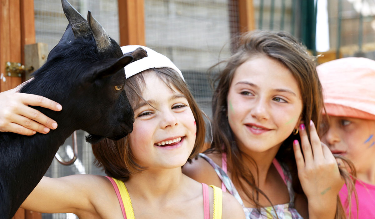 Domaine de la Dragonnière Languedoc-Roussillon - Vias visuel 44/50 Domaine de la Dragonnière Languedoc-Roussillon - Vias visuel 44/50