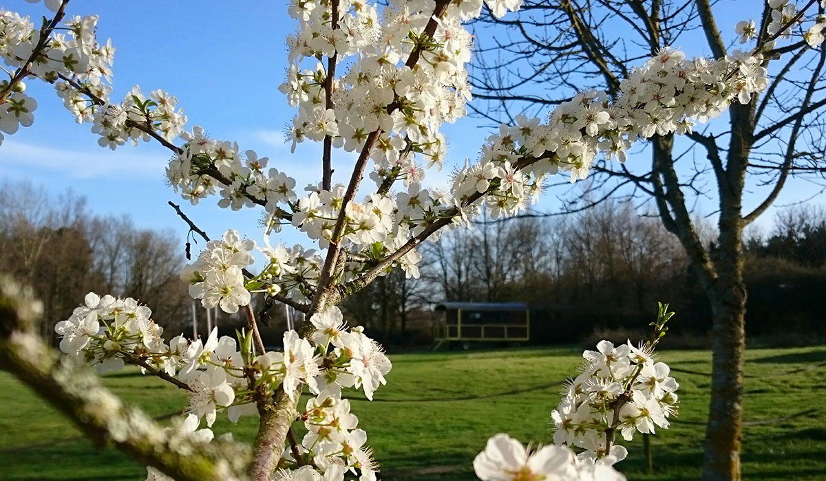 Domaine de la Grangée Großes Zentrum - La Chapelle-Blanche-Saint-Martin visuel 13/14 Domaine de la Grangée Großes Zentrum - La Chapelle-Blanche-Saint-Martin visuel 13/14