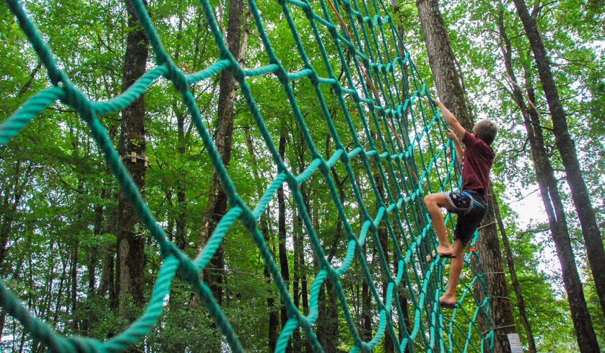Domaine de l’Oiselière Das Loire-Gebiet - Chauché visuel 11/20